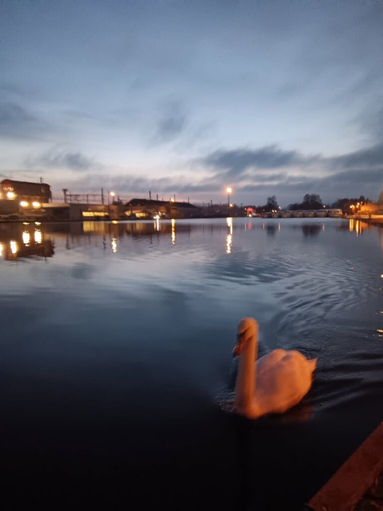 [Facebook] Migennes Pour Tous