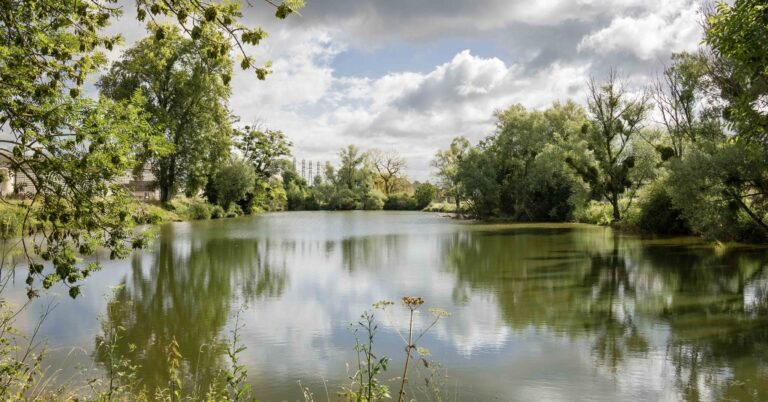 [Facebook] Avenir de Migennes